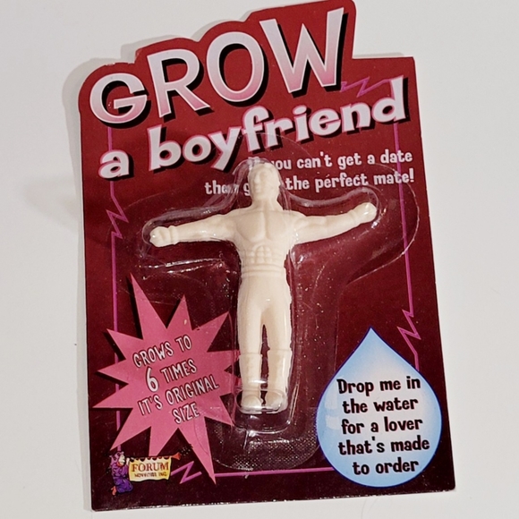 Grow a Boyfriend, Gift Bachelorette / Bachelor /   Friend / Gag Gift, New - Picture 2 of 6